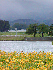 tokurako04.jpg